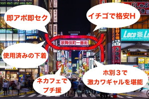 歌舞伎町の割り切り情報
